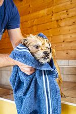 Pharisäer Hof - Doppelzimmer - Top-Hundeurlaub