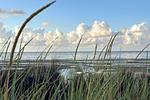 Blick aufs Meer mit Strandkörben und ablaufenden Wasser - Ferienwohnung 1 (DH01) - Top-Hundeurlaub