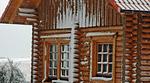 Hauptansicht - Economy Blockhaus Fernando Magellan - Top-Hundeurlaub