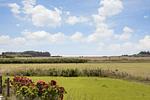 Meerblick - Ferienhaus Leuchtturm und Meer - Top-Hundeurlaub