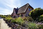 Hauptansicht - Ferienhaus Krabbenhuus - Top-Hundeurlaub