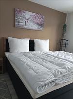 Schlafzimmer - FeWo Kibo am Waldesrand - Top-Hundeurlaub
