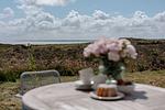 Heideliebe - Top-Hundeurlaub