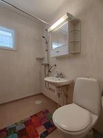 Mistel - Top-Hundeurlaub