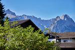 Blick auf Sehenswürdigkeit - Hirsch - Top-Hundeurlaub