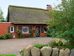 "Vier Pfoten" - Top-Hundeurlaub