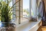 Fenster mit Pflanzen und Steinen auf der Fensterbank - Meerzeit - Top-Hundeurlaub