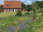 Sundblick, ideal für Familien-18 - Sundblick, ideal für Familien - Top-Hundeurlaub