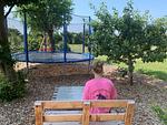 Sundblick, ideal für Familien-22 - Sundblick, ideal für Familien - Top-Hundeurlaub