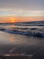 Seeschwalbe-11 - Seeschwalbe - Top-Hundeurlaub