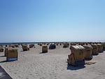 Seeschwalbe-12 - Seeschwalbe - Top-Hundeurlaub