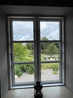 Gartenblick - Ferienwohnung Herrenkoog im Reetdachhaus Bongsiel - Top-Hundeurlaub