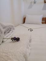 Bett - Mobile Home Green - Top-Hundeurlaub
