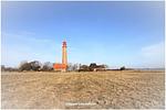 Hafenblick Orth-17 - Hafenblick Orth - Top-Hundeurlaub