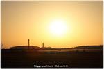 Hafenblick Orth-19 - Hafenblick Orth - Top-Hundeurlaub