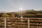 Landschaft - Naturverliebt am Diemelsee - Bergblick - Top-Hundeurlaub