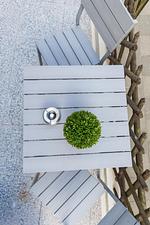 Dekoratives Detail - Wohnung 1 - Top-Hundeurlaub
