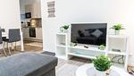 Fernseher - Ferienwohnung Amrum auf dem Holmhof - Top-Hundeurlaub