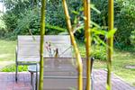 Terrasse mit Stühlen und Blumenschmuck - Boddenräuber 1 - Top-Hundeurlaub