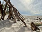 Strand mit Treibholz und Meerblick - Boddenräuber 1 - Top-Hundeurlaub