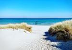 Strand mit Grasdünen und klarem Wasser - Boddenräuber 1 - Top-Hundeurlaub