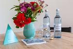 Gedeckter Tisch mit Blumen und Getränken - Boddenräuber 2 - Top-Hundeurlaub
