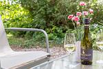 Terrasse mit Tisch, Stühlen und Weinflasche - Boddenräuber 2 - Top-Hundeurlaub