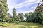 Gartenansicht mit Bäumen und Grasfläche - Boddenräuber 2 - Top-Hundeurlaub