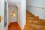 Haus Daanshoog - Top-Hundeurlaub