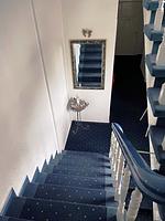 Fassade / Eingang - "Seeblick" in der Villa Medici - Top-Hundeurlaub