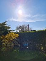Gartenblick - Ferienhaus Naase App. 4 - Top-Hundeurlaub