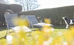 Terrasse - Ferienhaus Naase App. 4 - Top-Hundeurlaub
