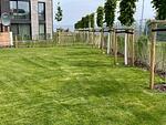 Gartenblick - Küstenleuchten - Top-Hundeurlaub