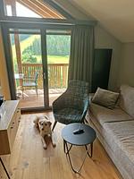 Black Forest Lodge am Feldberg im Schwarzwald - Top-Hundeurlaub