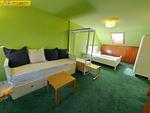 Schlafzimmer - Apartment Alpenrock by FiS - Fun in Styria - Top-Hundeurlaub