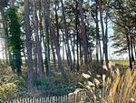 Landschaft - Bungalow am Meer - Top-Hundeurlaub