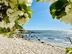 Strand - Bungalow am Meer - Top-Hundeurlaub