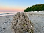 Strand - Bungalow am Meer - Top-Hundeurlaub