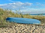 Strand - Bungalow am Meer - Top-Hundeurlaub