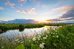 Landschaft - Alte Scheune - Hofblick - Top-Hundeurlaub