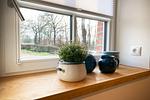 Dekoratives Detail - Alte Scheune - Hofblick - Top-Hundeurlaub
