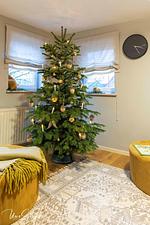 Ferienhaus Honey Bee - Top-Hundeurlaub