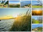 Landschaft - Ferienwohnung 1 - Top-Hundeurlaub