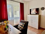 TV / Multimedia - Ferienwohnung 1 - Top-Hundeurlaub