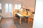 Kegelrobbe - Top-Hundeurlaub