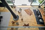 Vogelperspektive - Shelterloft Airpark - Top-Hundeurlaub