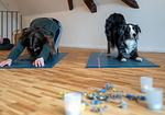 Ferienhaus Gersmühle - Top-Hundeurlaub