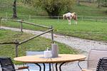 Ferienhaus Gersmühle - Top-Hundeurlaub