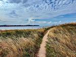 Landschaft - Ferienwohnung 2 - Top-Hundeurlaub