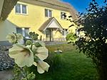 Hauptansicht - Ferienwohnung 4 - Top-Hundeurlaub